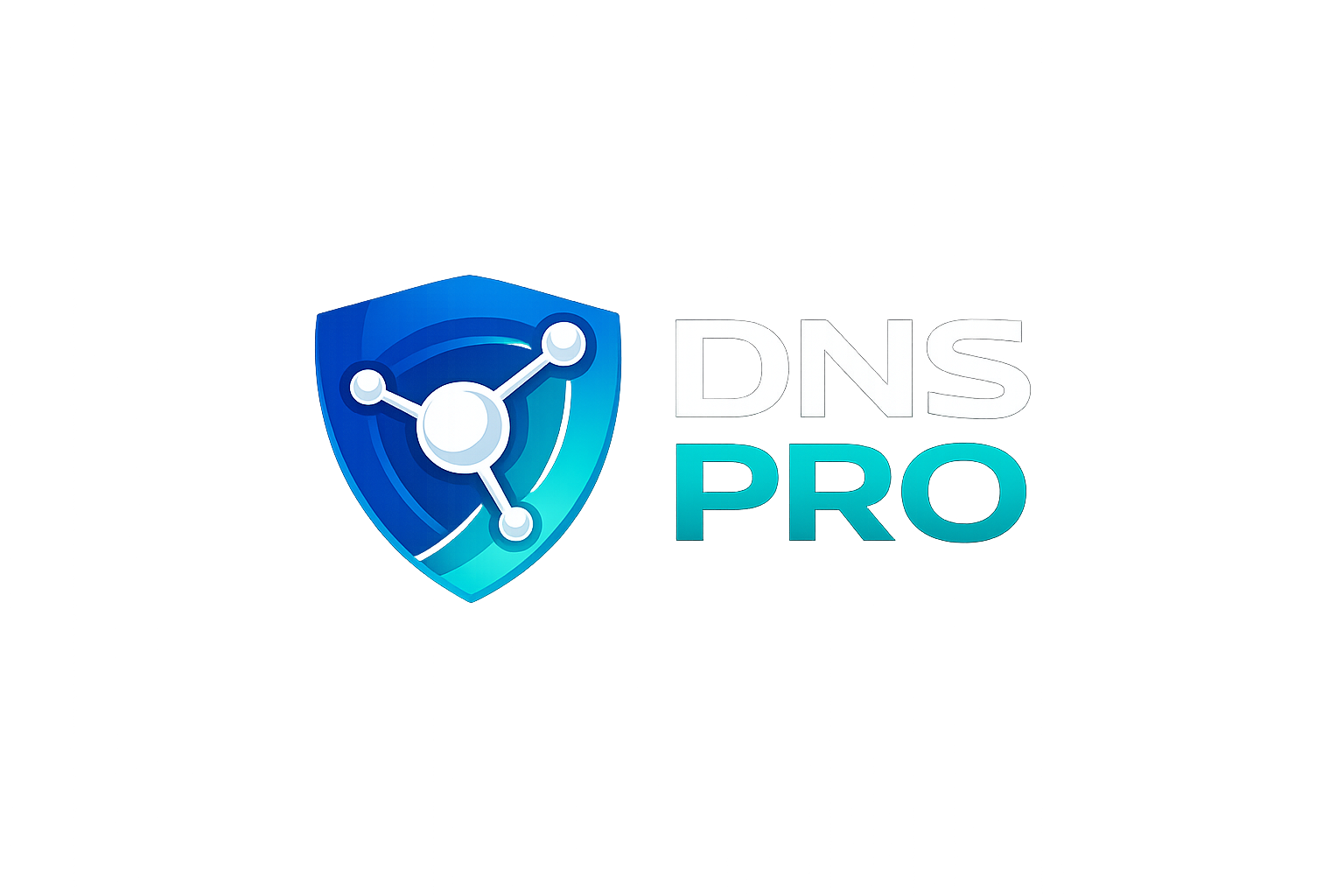 DNS Pro